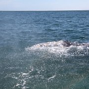IMG 0001 2 (380)